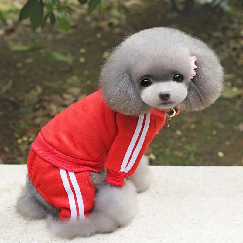 SportPup™ Thick Winter Dog Jumpsuit – Cozy Tracksuit for Small Dogs
