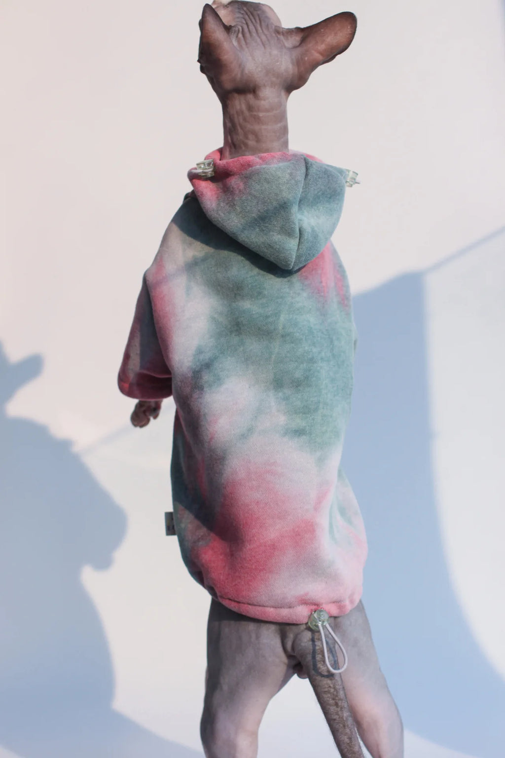 DUOMASUMI Cozy Fleece-Lined Cat Hoodie – Warm Sphynx Jacket
