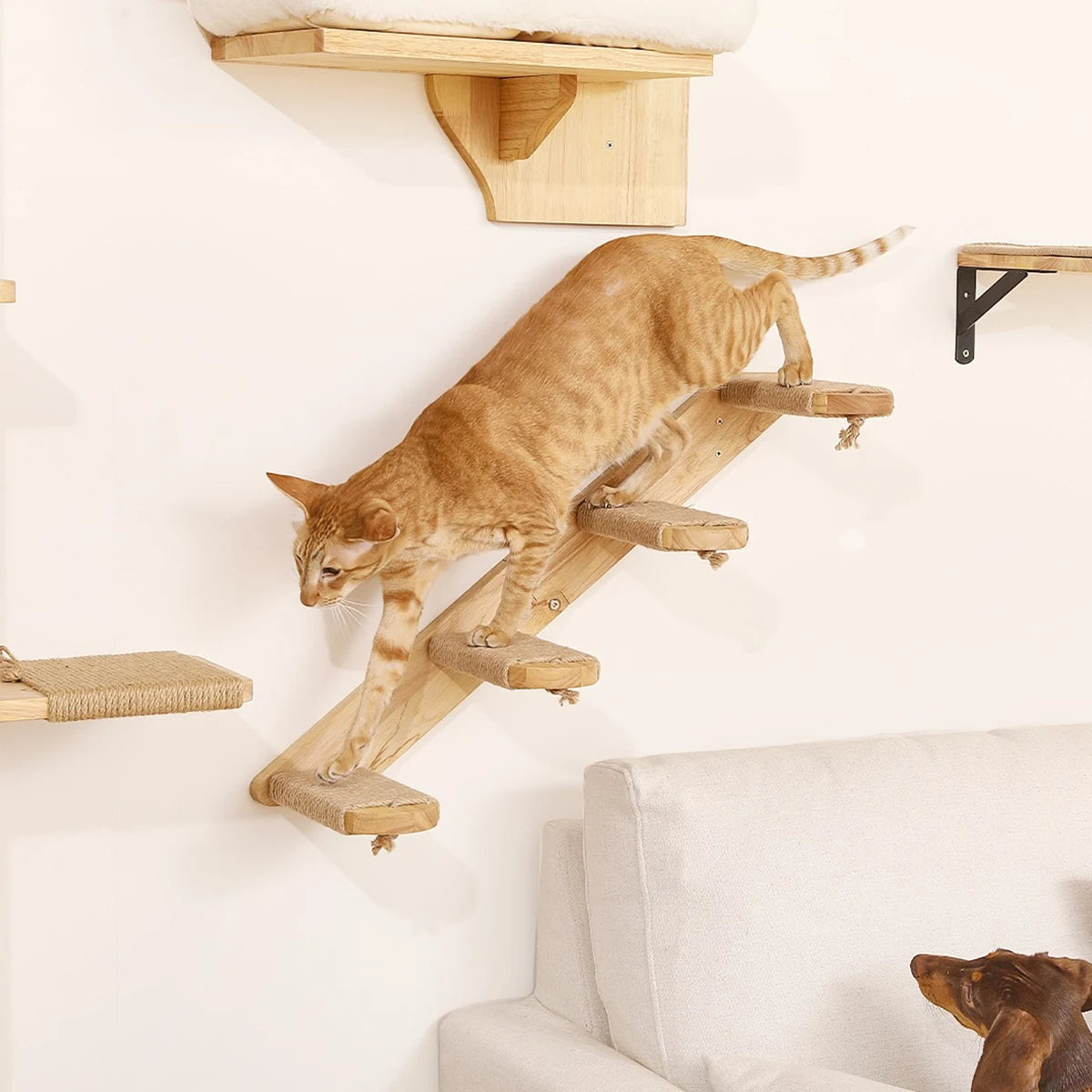 PurrClimb™ Wall-Mounted Cat Hammock & Climbing Shelf
