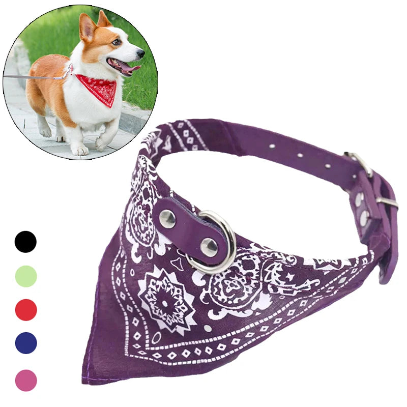 PawChic™ Adjustable Pet Collar with Stylish Scarf