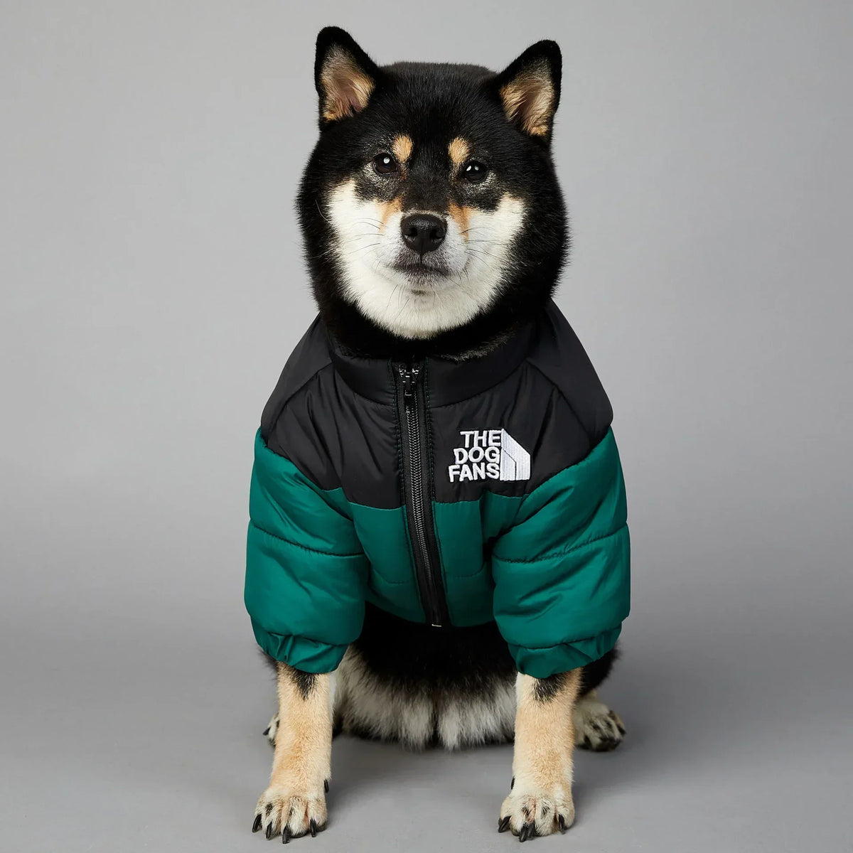 CozyPaws™ Winter Puffer Jacket for Dogs