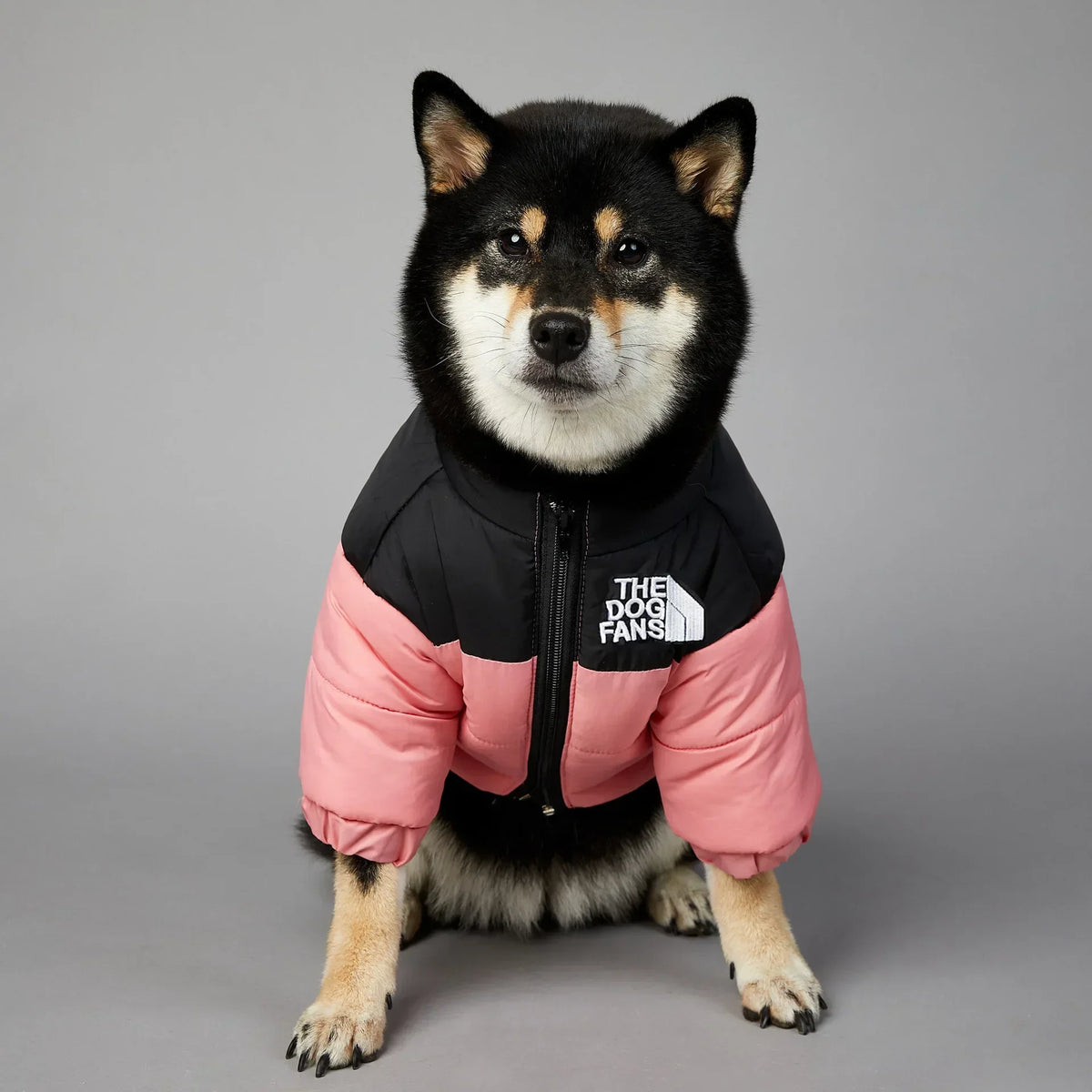 CozyPaws™ Winter Puffer Jacket for Dogs