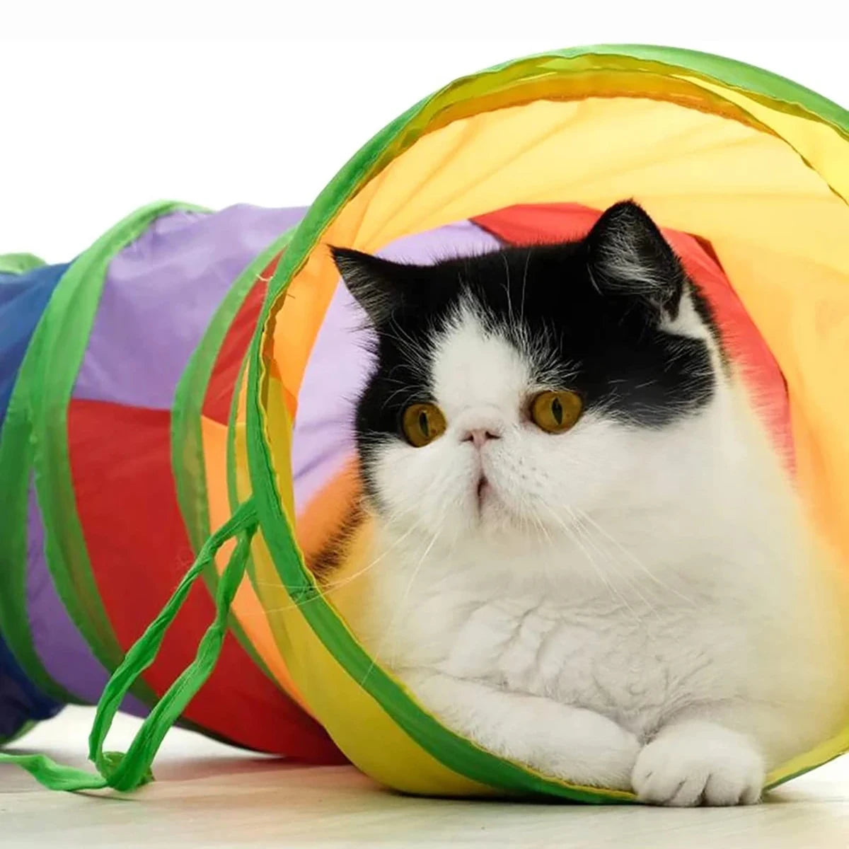 PurrTunnel™ Foldable Interactive Cat Play Tunnel