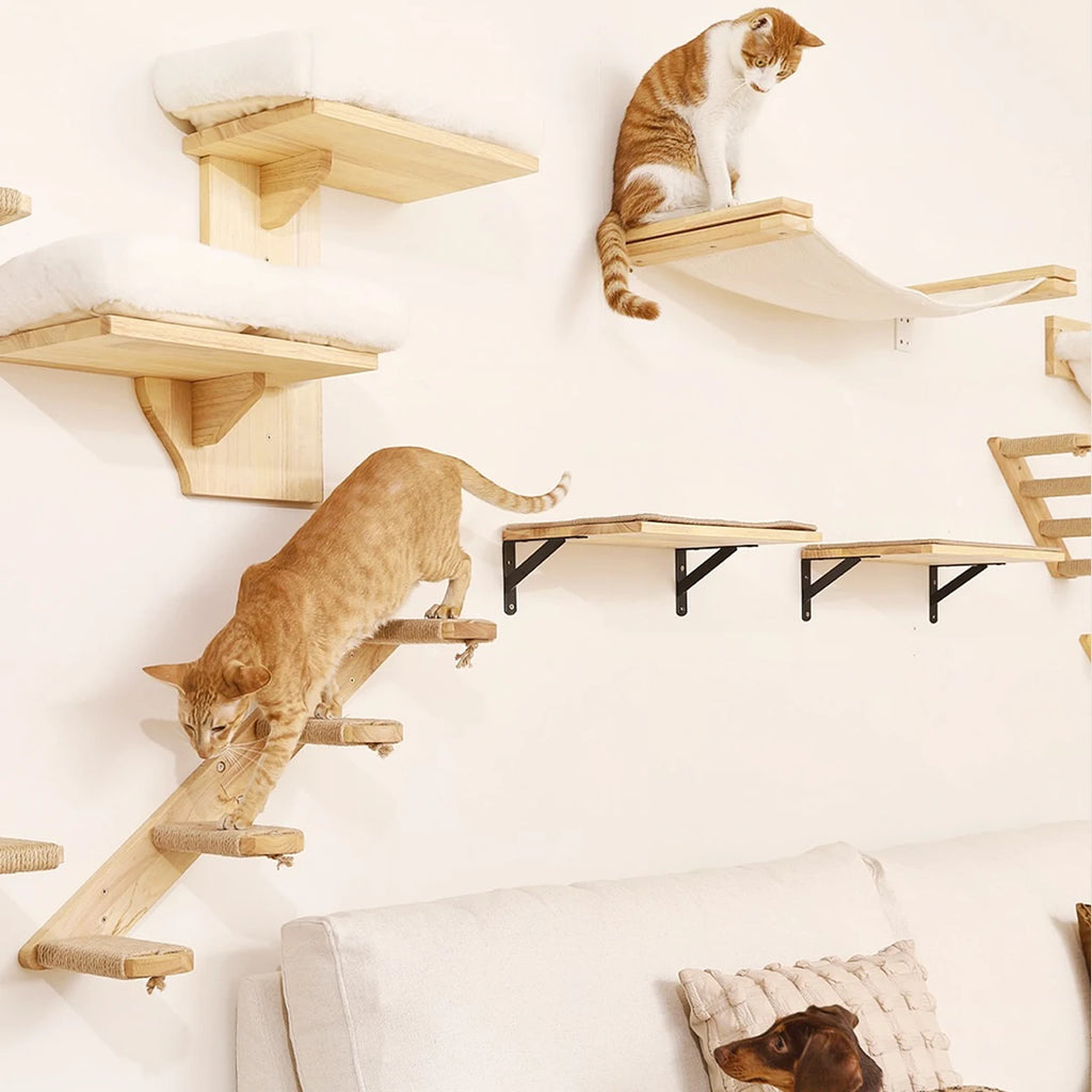 PurrClimb™ Wall-Mounted Cat Hammock & Climbing Shelf