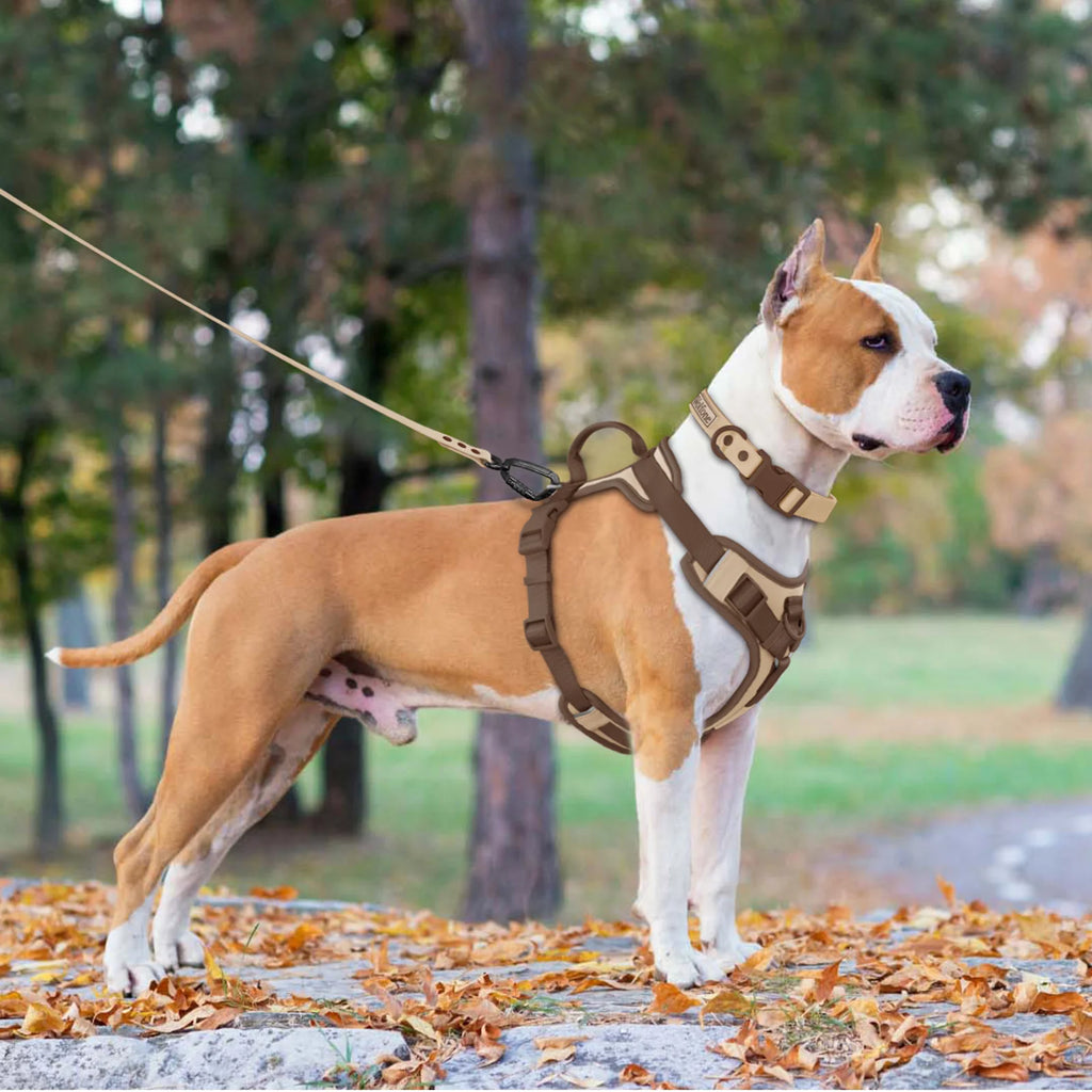 CocoaPaw™ Luxury No-Pull Adjustable Dog Harness