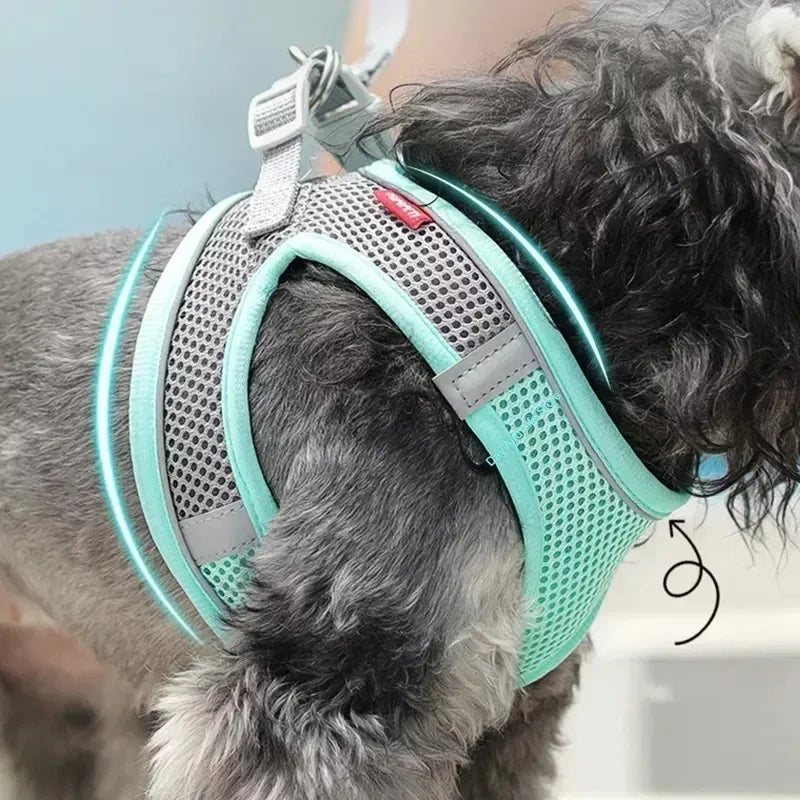 PawFit™ Adjustable Pet Harness & Leash Set
