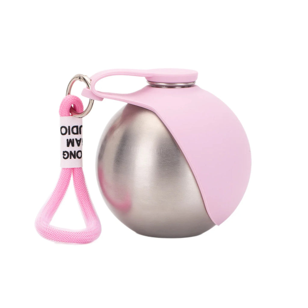 AquaTrail™ Stainless Steel Pet Water Bottle with Foldable Bowl