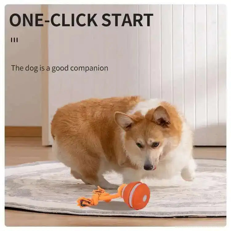 WigglePup™ Motion-Activated Interactive Dog Ball