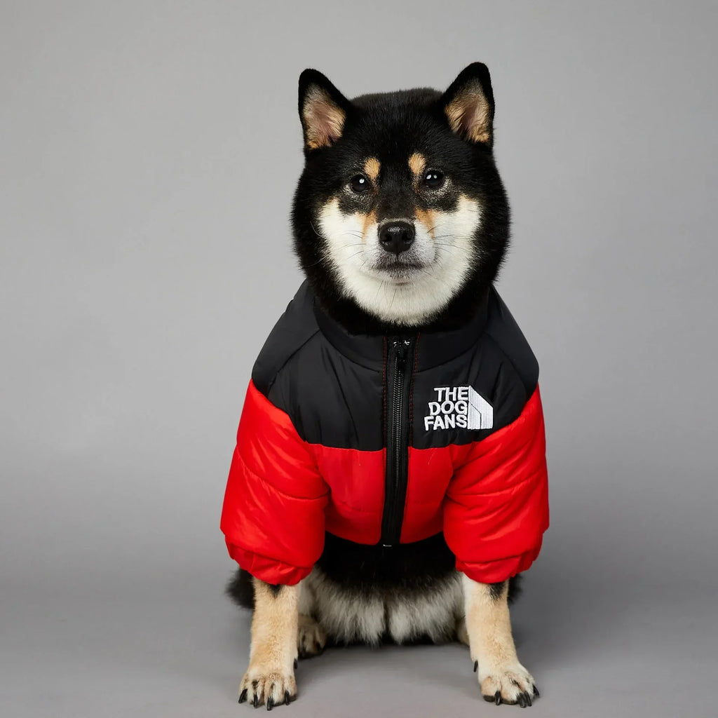 CozyPaws™ Winter Puffer Jacket for Dogs