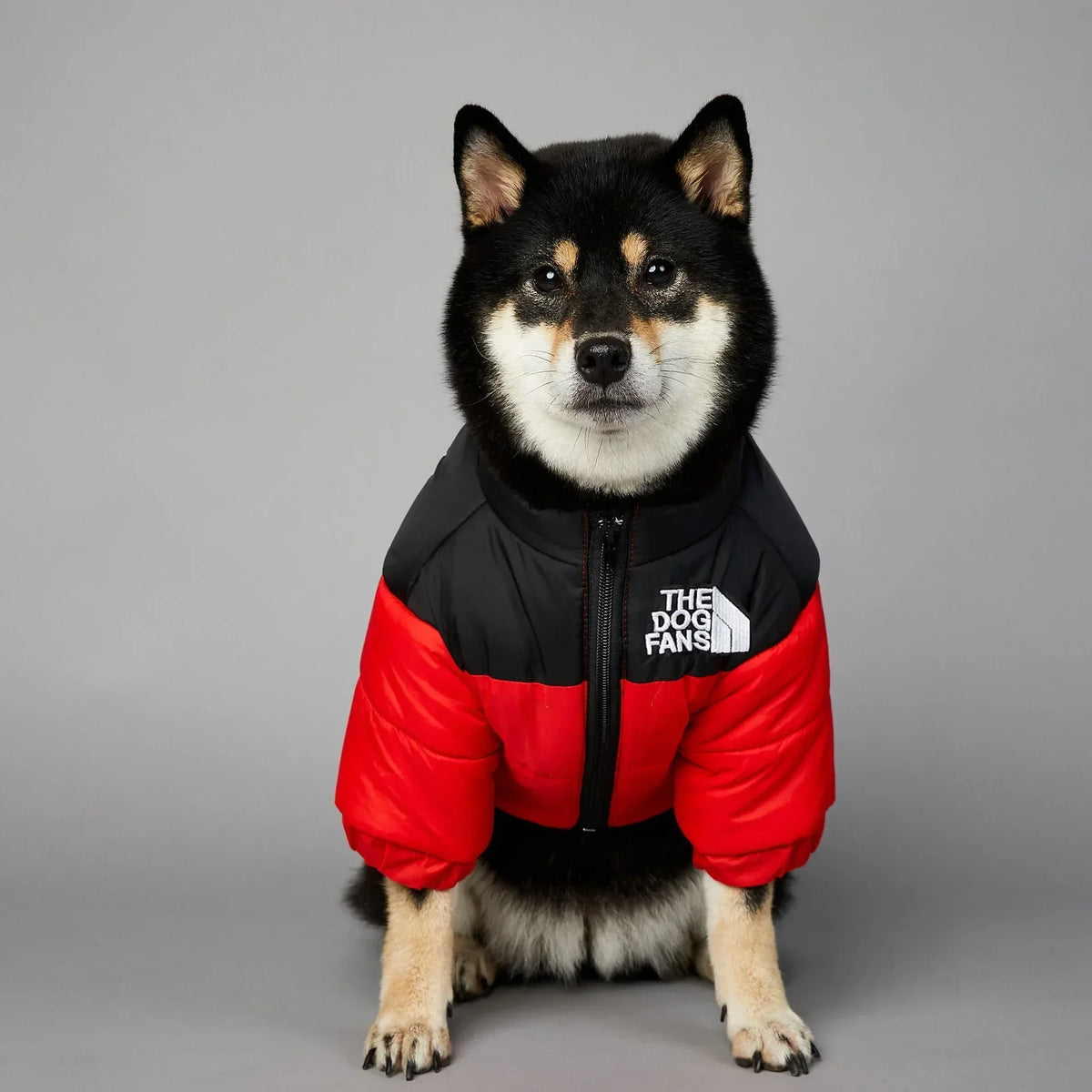 CozyPaws™ Winter Puffer Jacket for Dogs