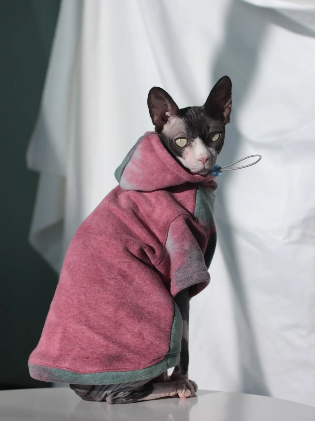 DUOMASUMI Cozy Fleece-Lined Cat Hoodie – Warm Sphynx Jacket