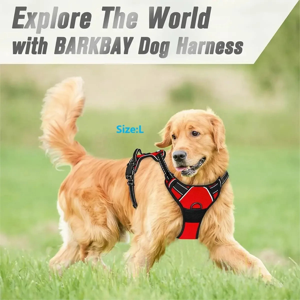 PawLuxe™ Dog Harness, Collar & Leash Set