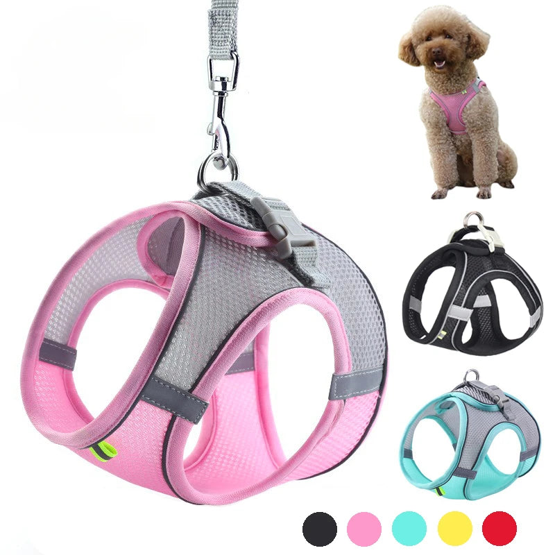 PawFit™ Adjustable Pet Harness & Leash Set