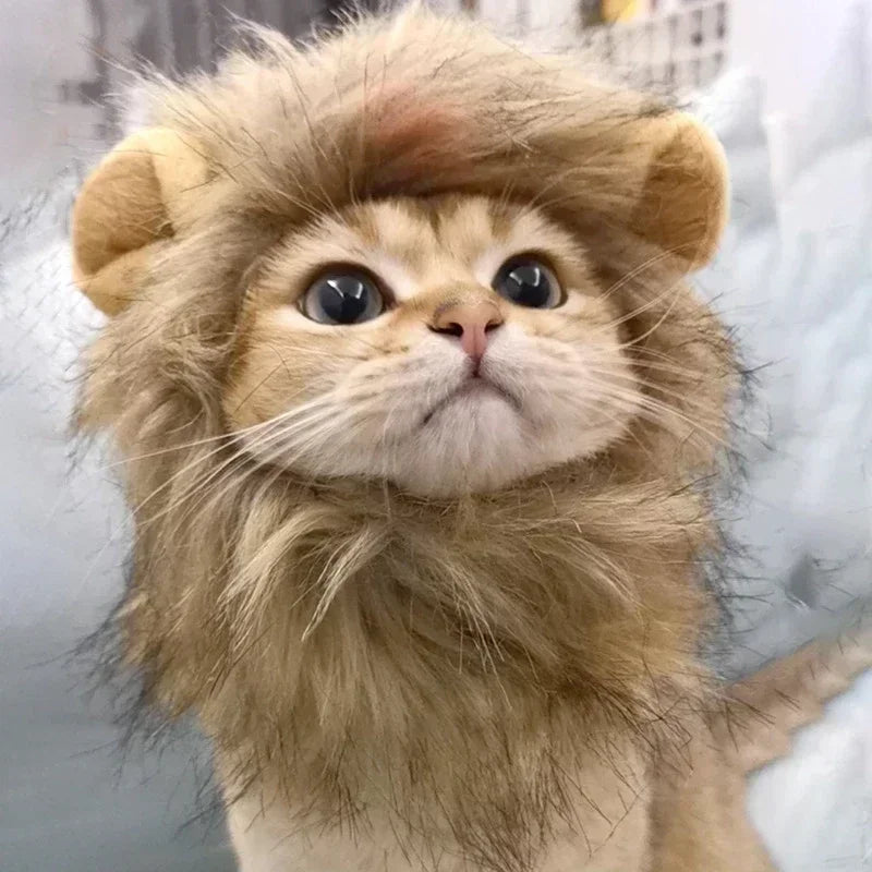 LionPurr™ Cat Lion Mane Costume – Fluffy Cosplay Wig