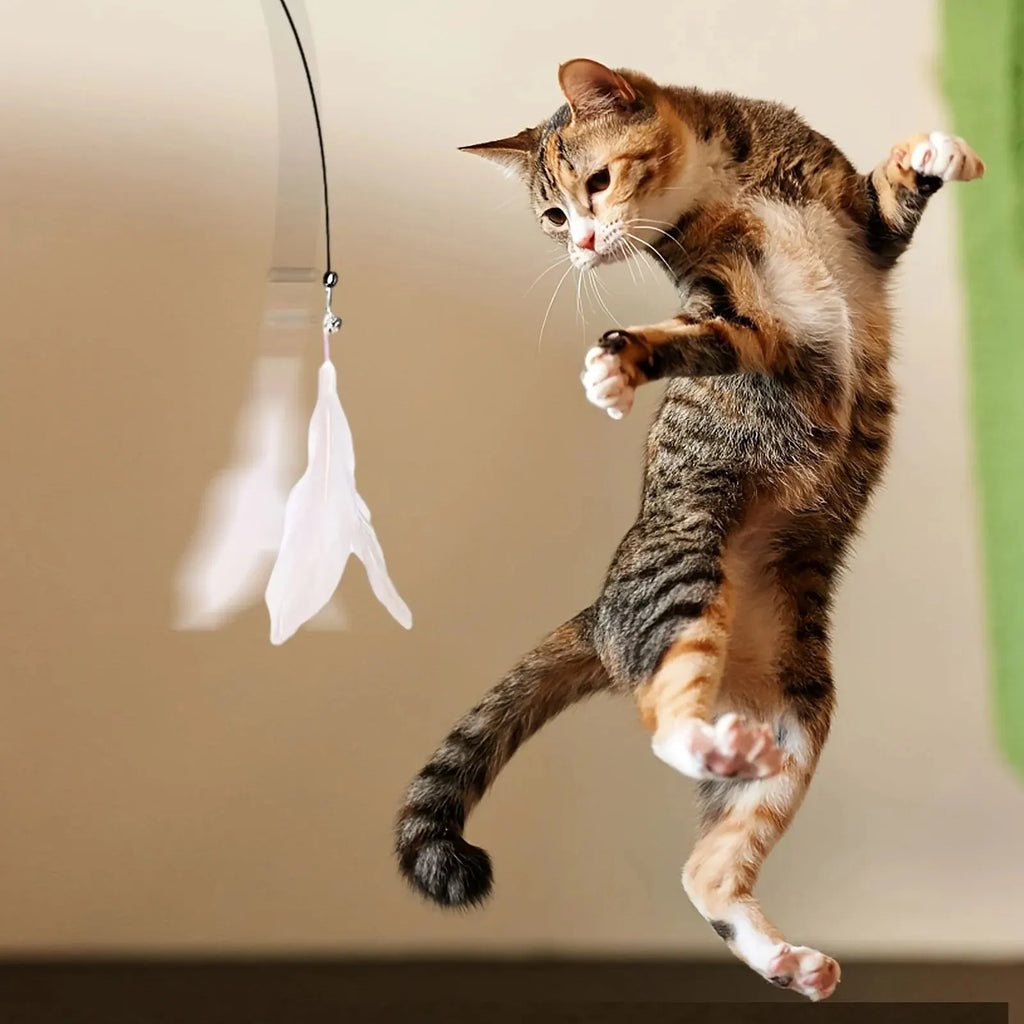 PurrPlay™ Interactive Feather Wand – Suction Cup Cat Teaser