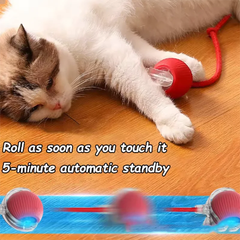 PurrMotion™ Automatic Interactive Cat Teaser Ball