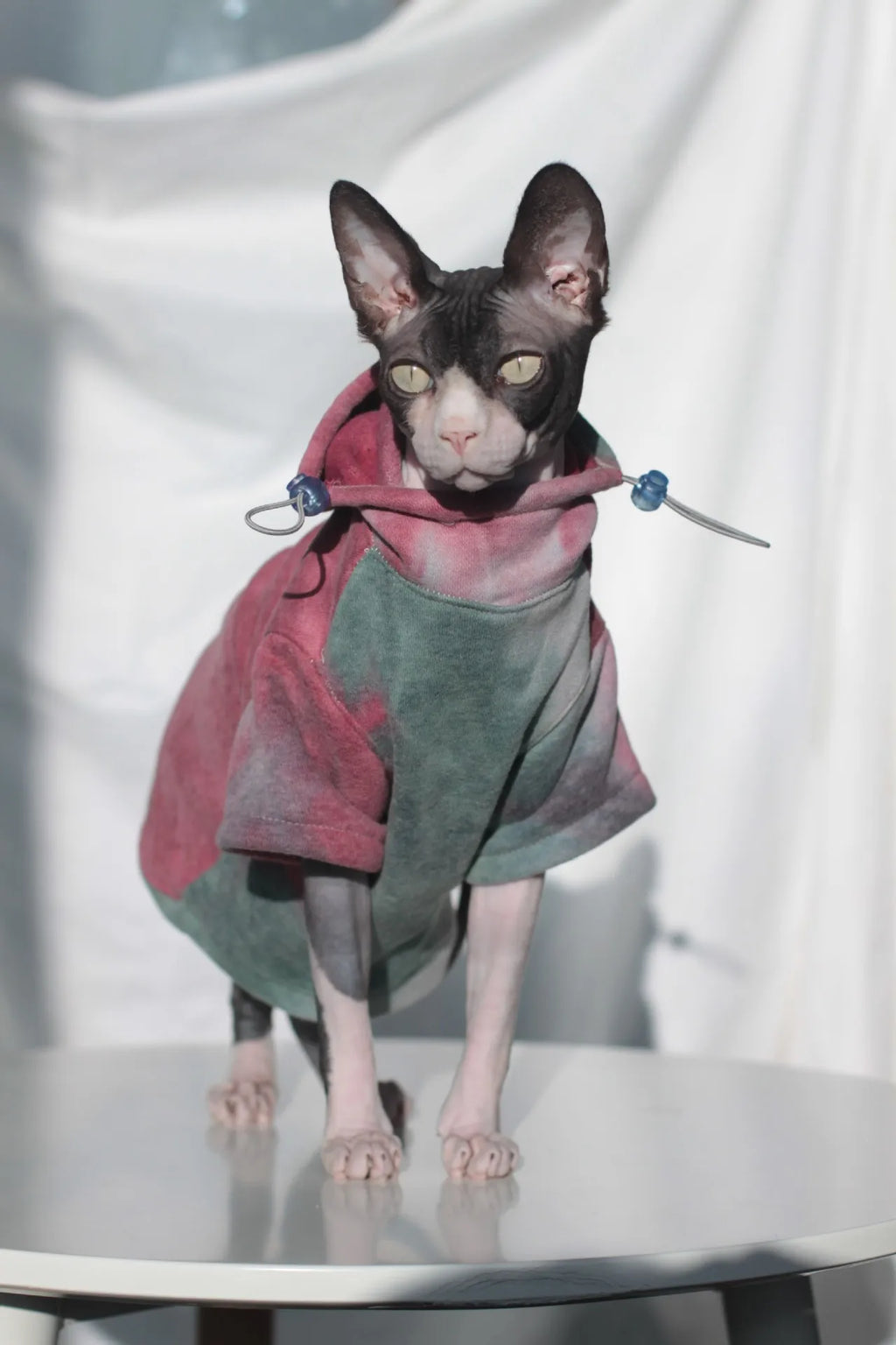 DUOMASUMI Cozy Fleece-Lined Cat Hoodie – Warm Sphynx Jacket