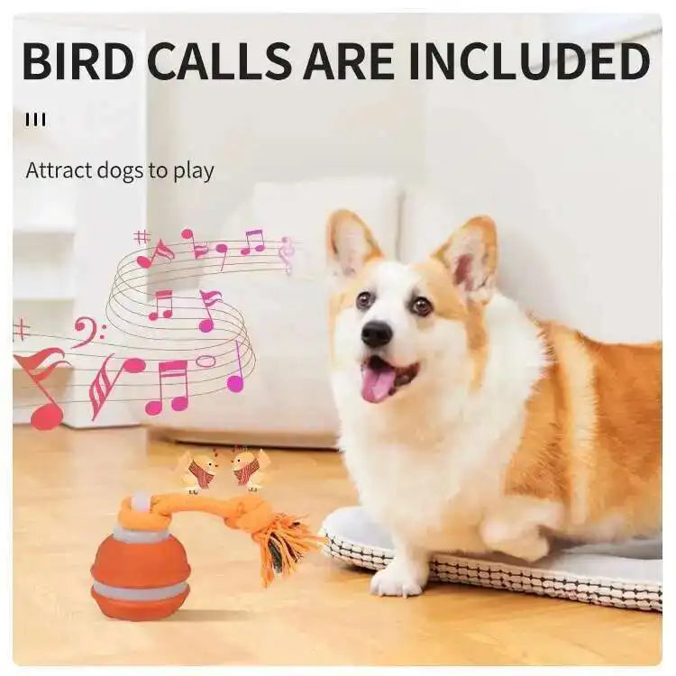 WigglePup™ Motion-Activated Interactive Dog Ball