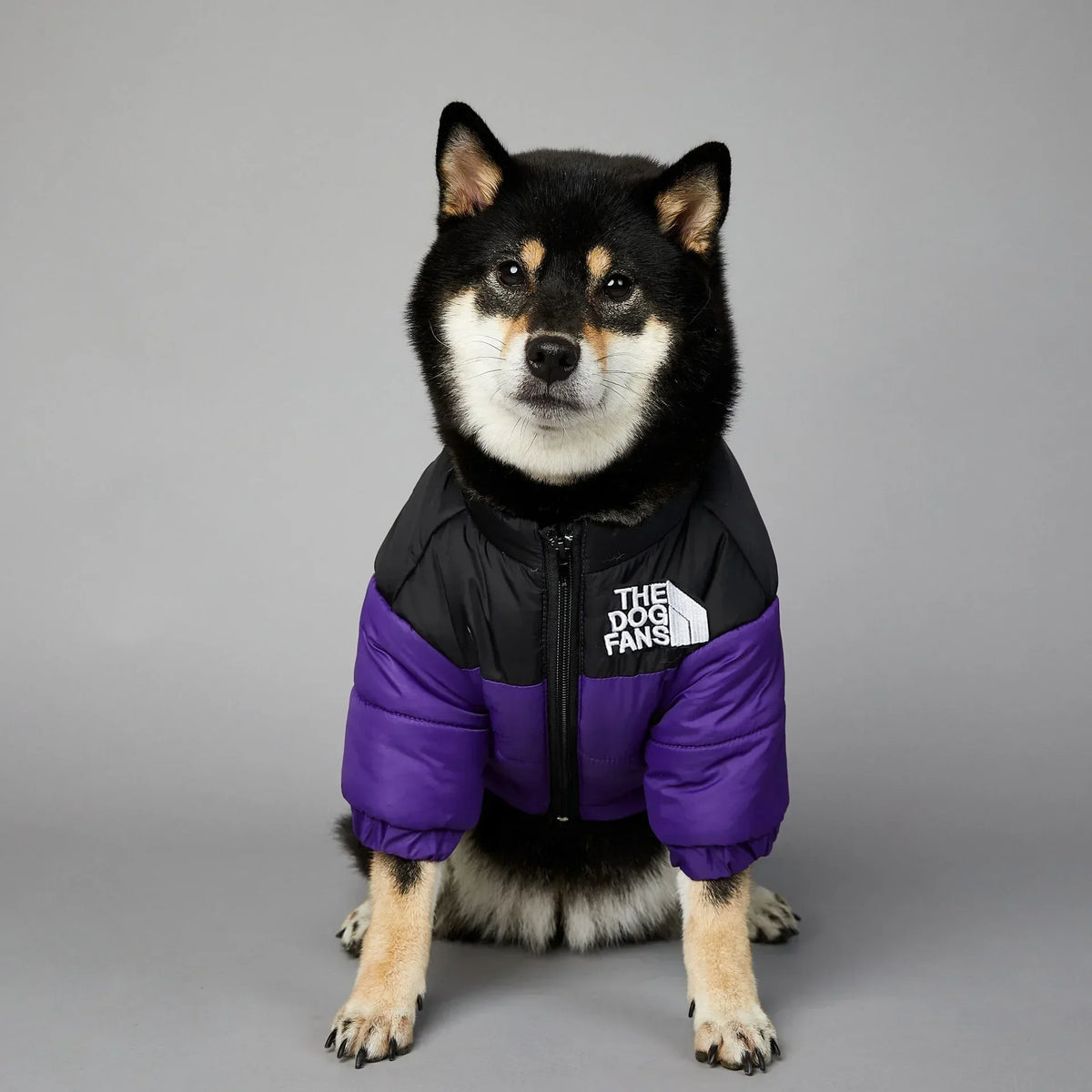 CozyPaws™ Winter Puffer Jacket for Dogs