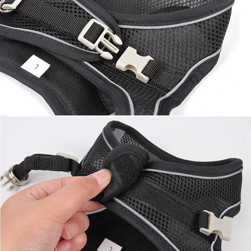 PawFit™ Adjustable Pet Harness & Leash Set