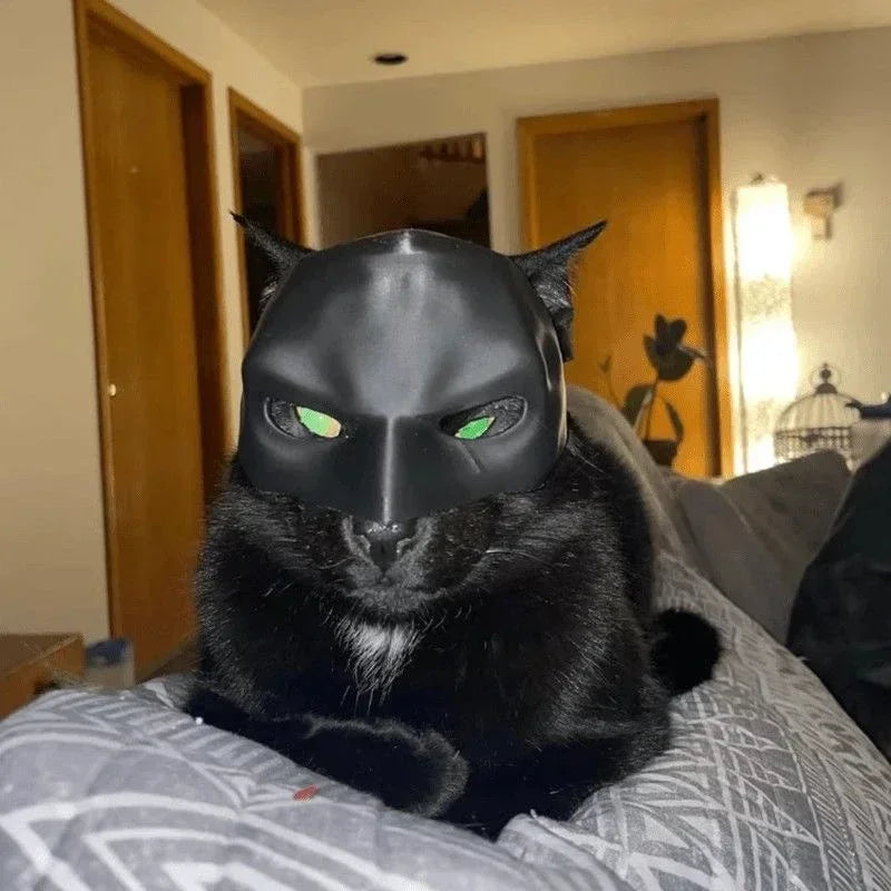 BatCat™ 3D Printed Cat Mask – Halloween Costume & Photo Prop