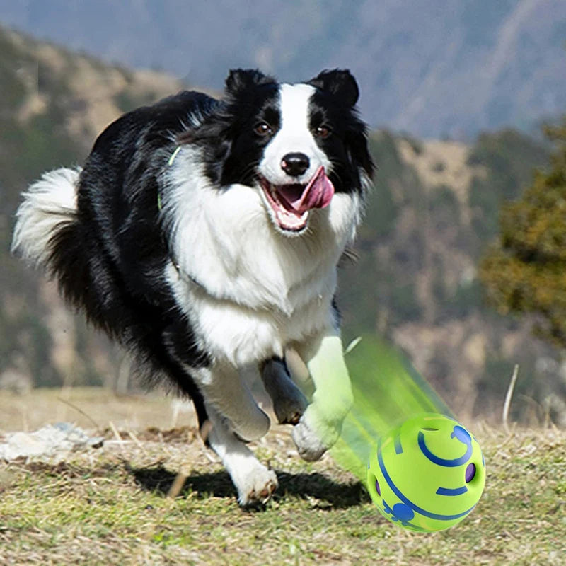 GiggleBall™ Interactive Sound Dog Toy