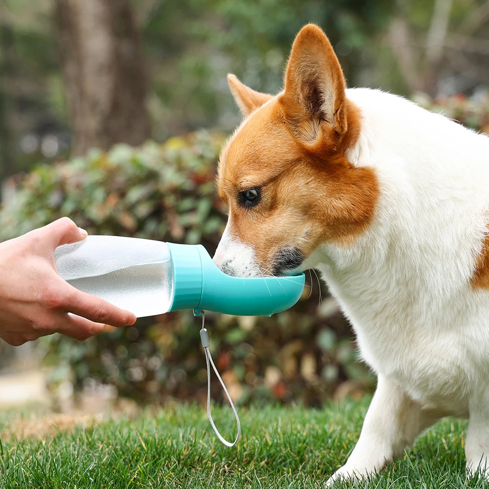AquaPaws™ Portable Pet Water Bottle – Leakproof Travel Dispenser