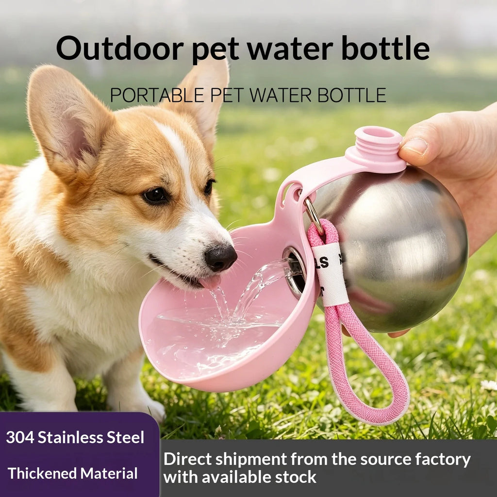 AquaTrail™ Stainless Steel Pet Water Bottle with Foldable Bowl