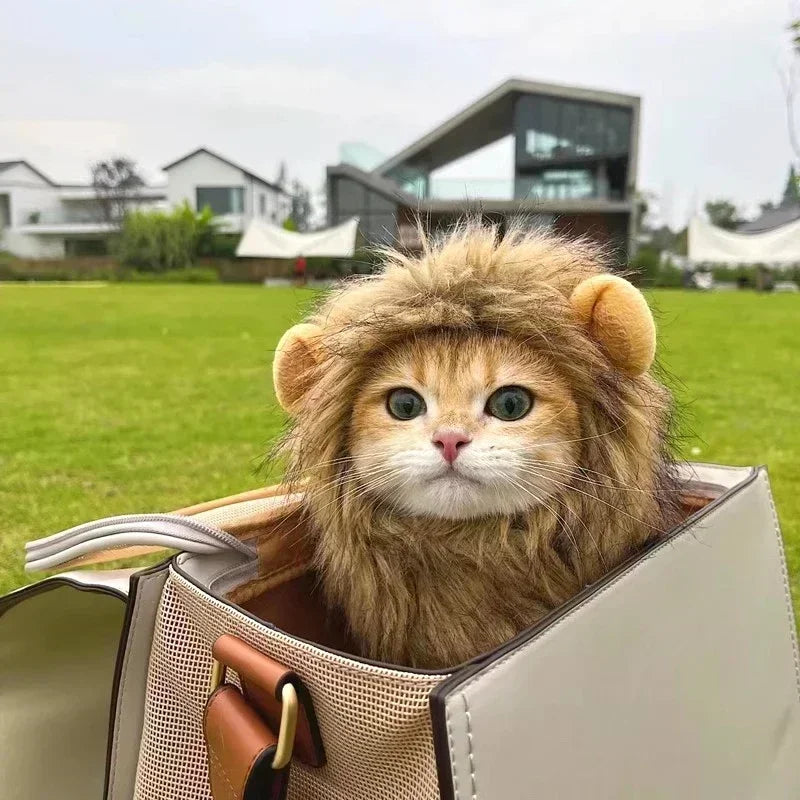 LionPurr™ Cat Lion Mane Costume – Fluffy Cosplay Wig