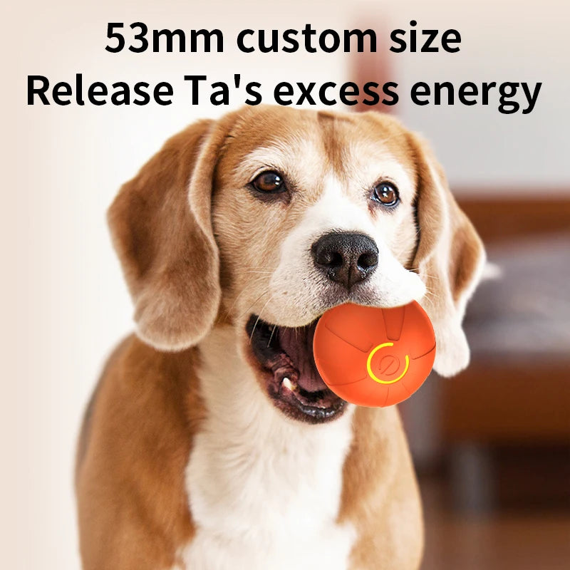 RollyPup™ Smart Interactive Rolling Dog Ball