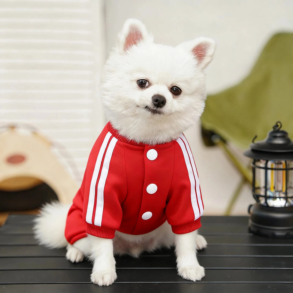 Cozy Fleece Hooded Jumpsuit for Dogs & Cats