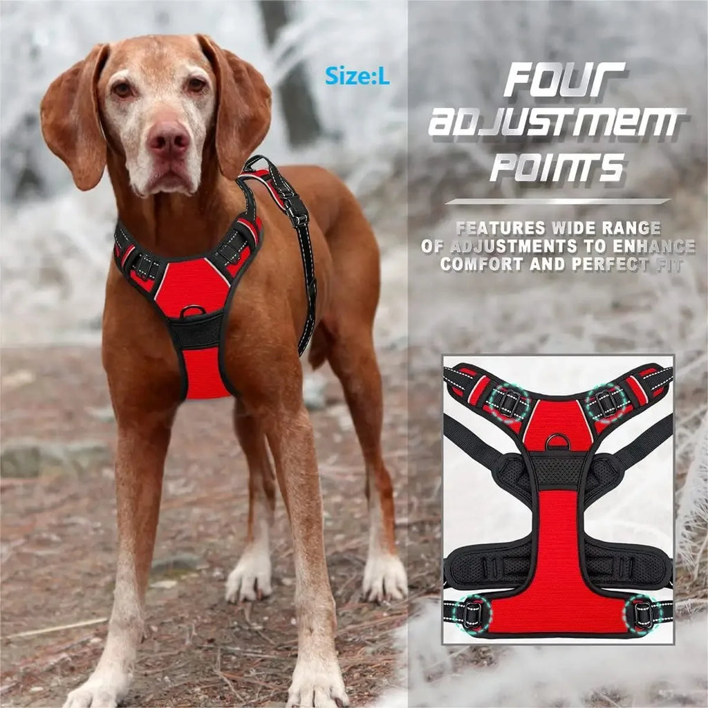 PawLuxe™ Dog Harness, Collar & Leash Set