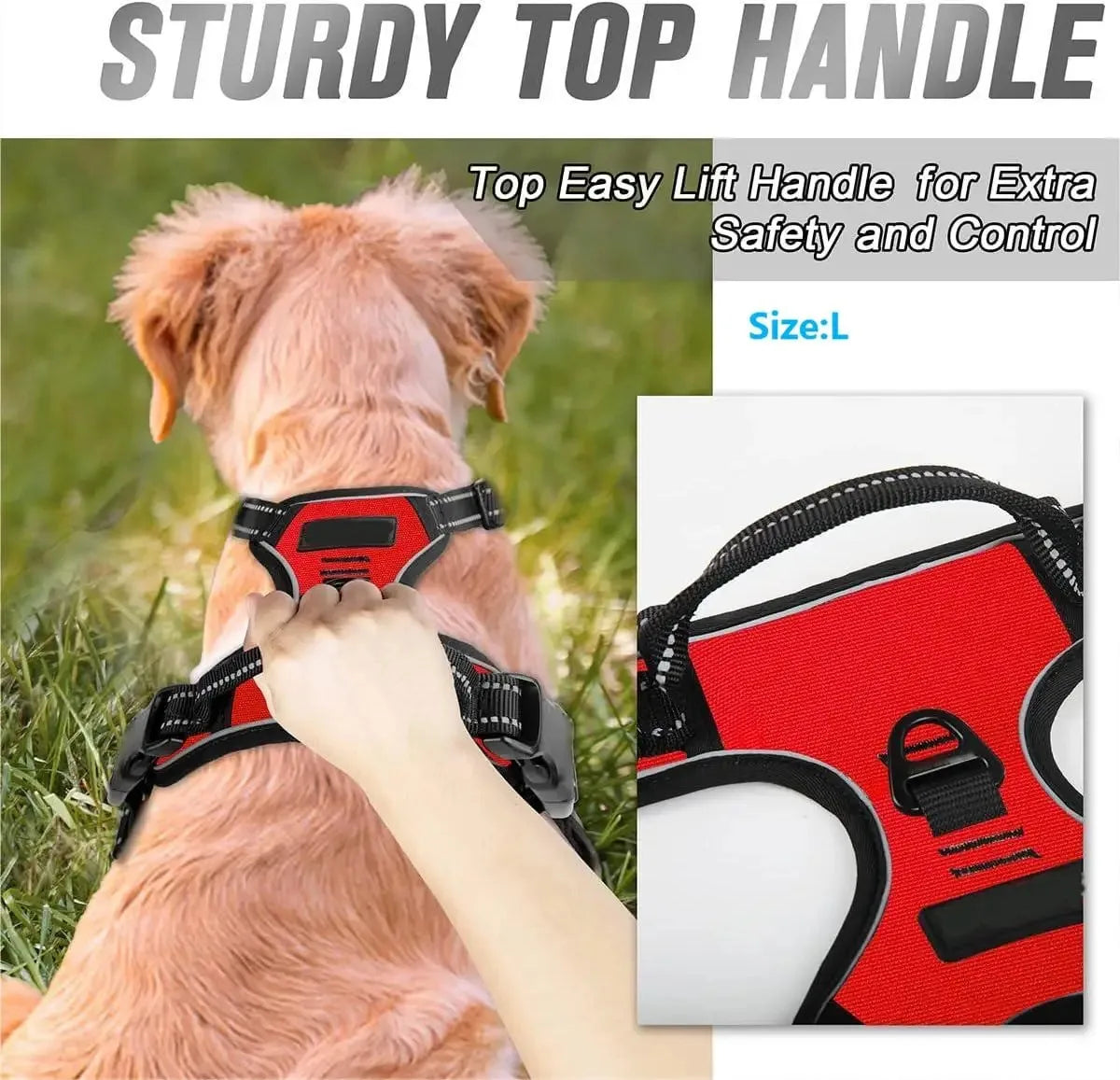 PawLuxe™ Dog Harness, Collar & Leash Set