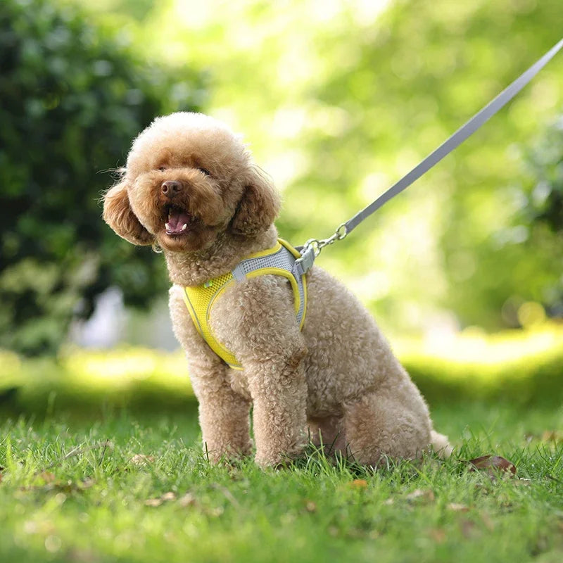 PawFit™ Adjustable Pet Harness & Leash Set